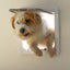 Cat Mate 4-Way Locking Large Cat Flap (221) For Large Cats & Small Dogs White Secure Double Lock Silent & Draught Proof