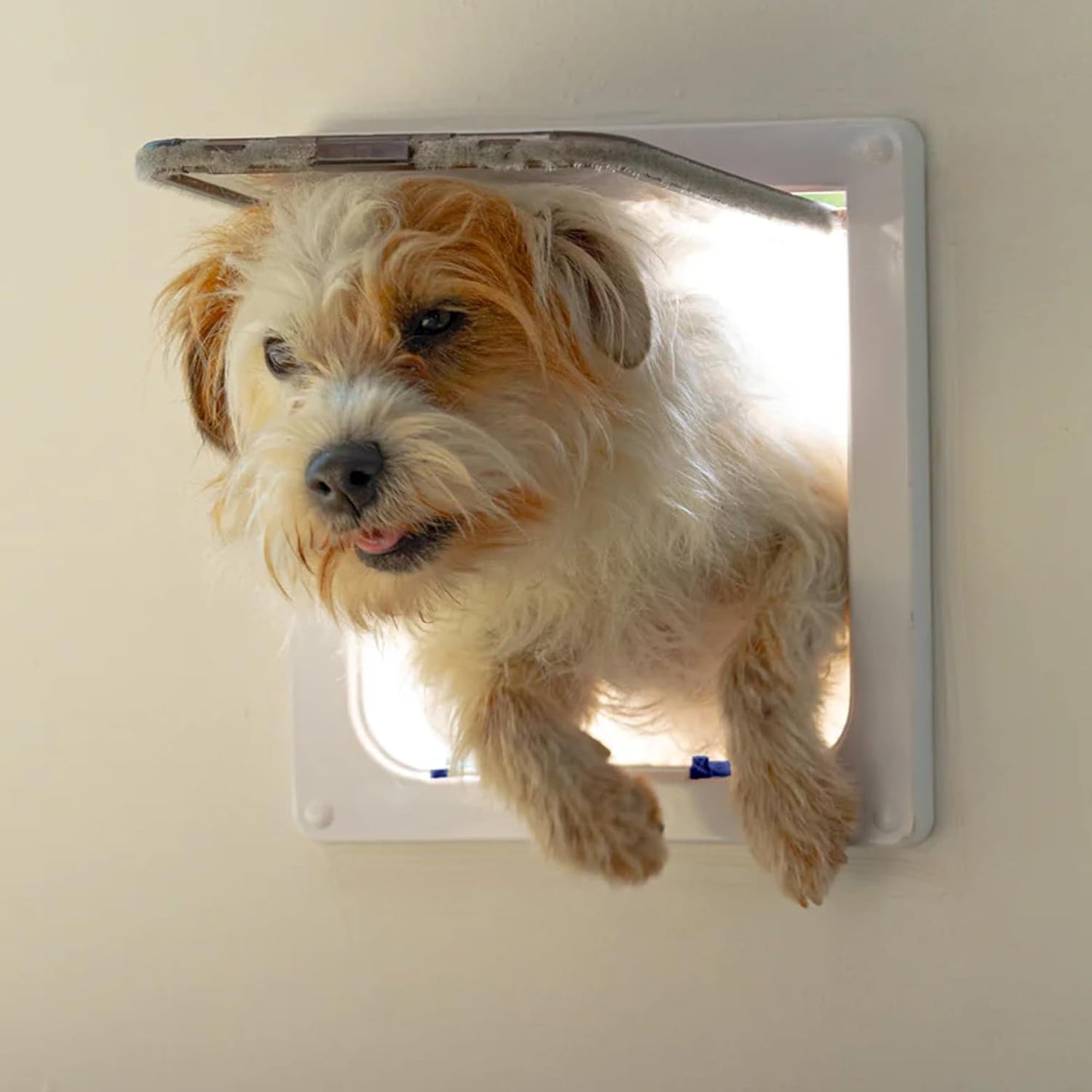 Cat Mate 4-Way Locking Large Cat Flap (221) For Large Cats & Small Dogs White Secure Double Lock Silent & Draught Proof