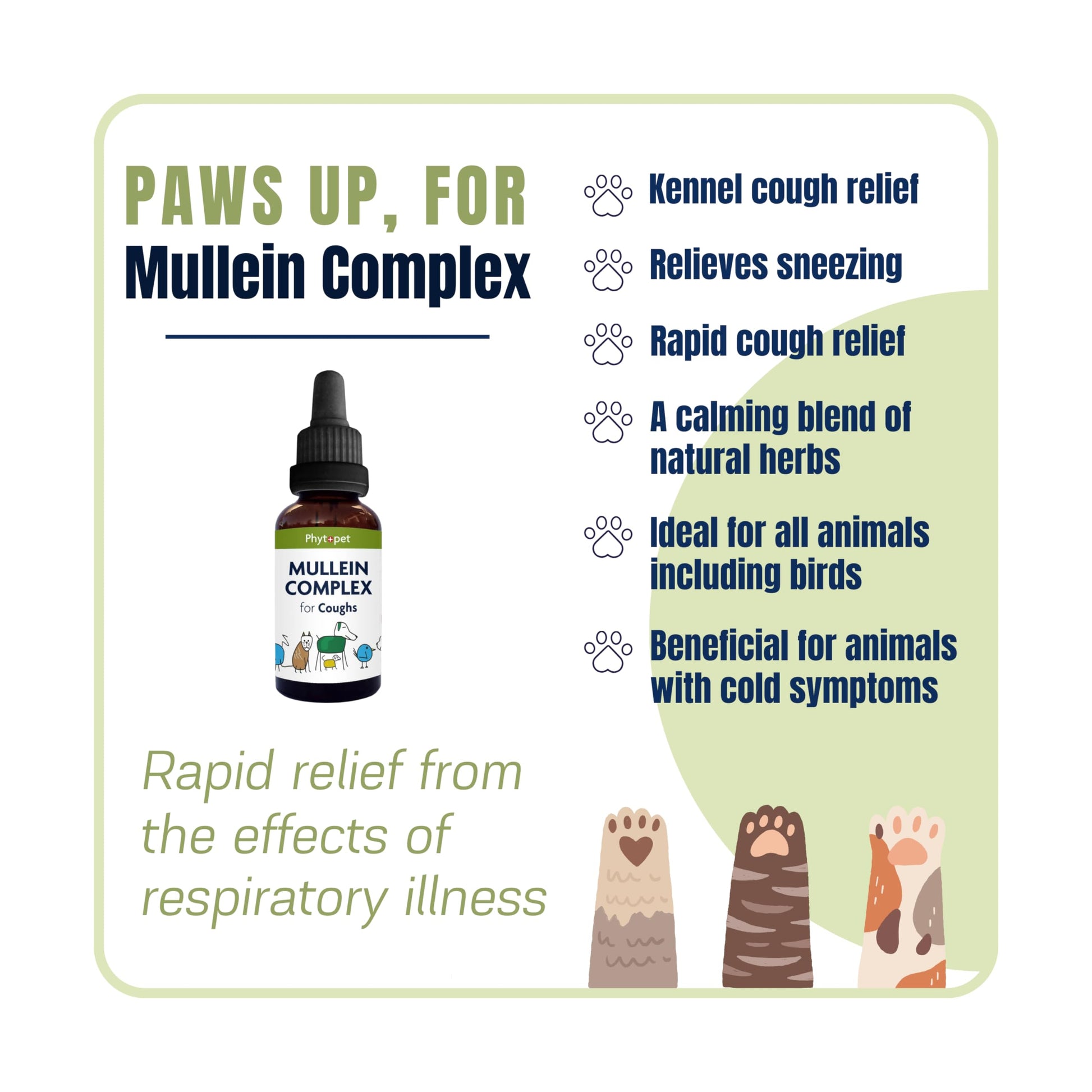 Advantages to using mullein complex for kennel cough and colds for pets