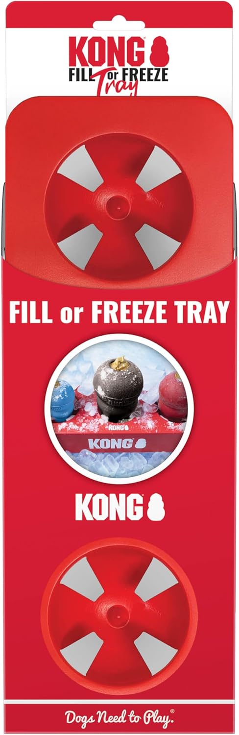 KONG Fill 'n' Freeze Treat Tray | Easy KONG Filling & Freezing Tool (All Sizes)