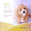 PhytoPet | Skin Aid | Sooth Irritation and Support Skin & Coat Health in Pets