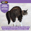 Cat standing on a light surface with VETIQ Serene Calming Diffuser product information displayed.