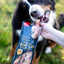 Pets Unlimited Tricolor Chewy Stick With Chicken Dog Chew Treat (Medium, 3 Pcs)