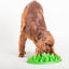 Company of Animals GREEN Slow Interactive Feeder | Anti-Gulp Large Dog Bowl