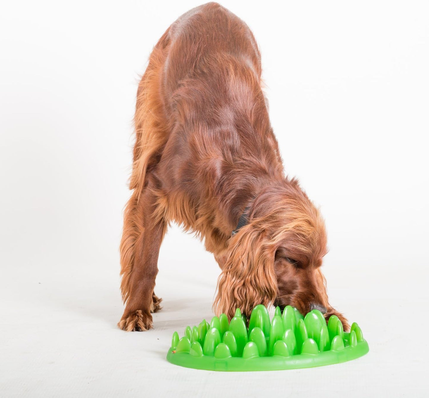 Company of Animals GREEN Slow Interactive Feeder | Anti-Gulp Large Dog Bowl