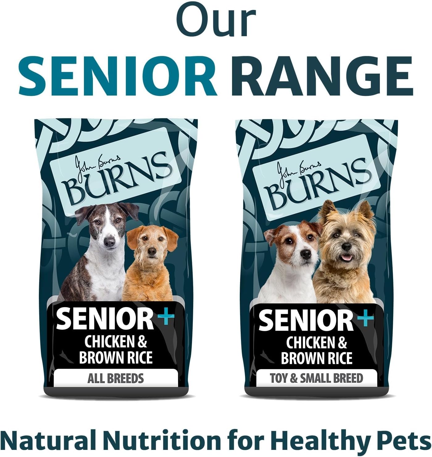 Burns Toy & Small Breed Original | Holistic Gluten Free Dry Dog Food | Senior + | Chicken & Brown Rice