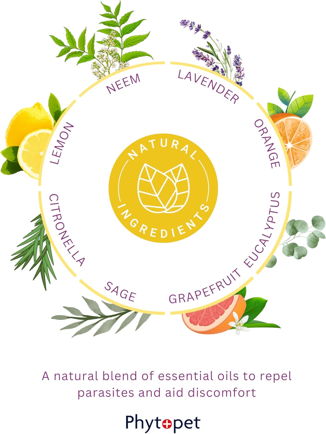 PhytoPet | Scratch | Natural Repellent for Fleas, Ticks, Flies & Other Insects