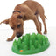 Company of Animals GREEN Slow Interactive Feeder | Anti-Gulp Large Dog Bowl