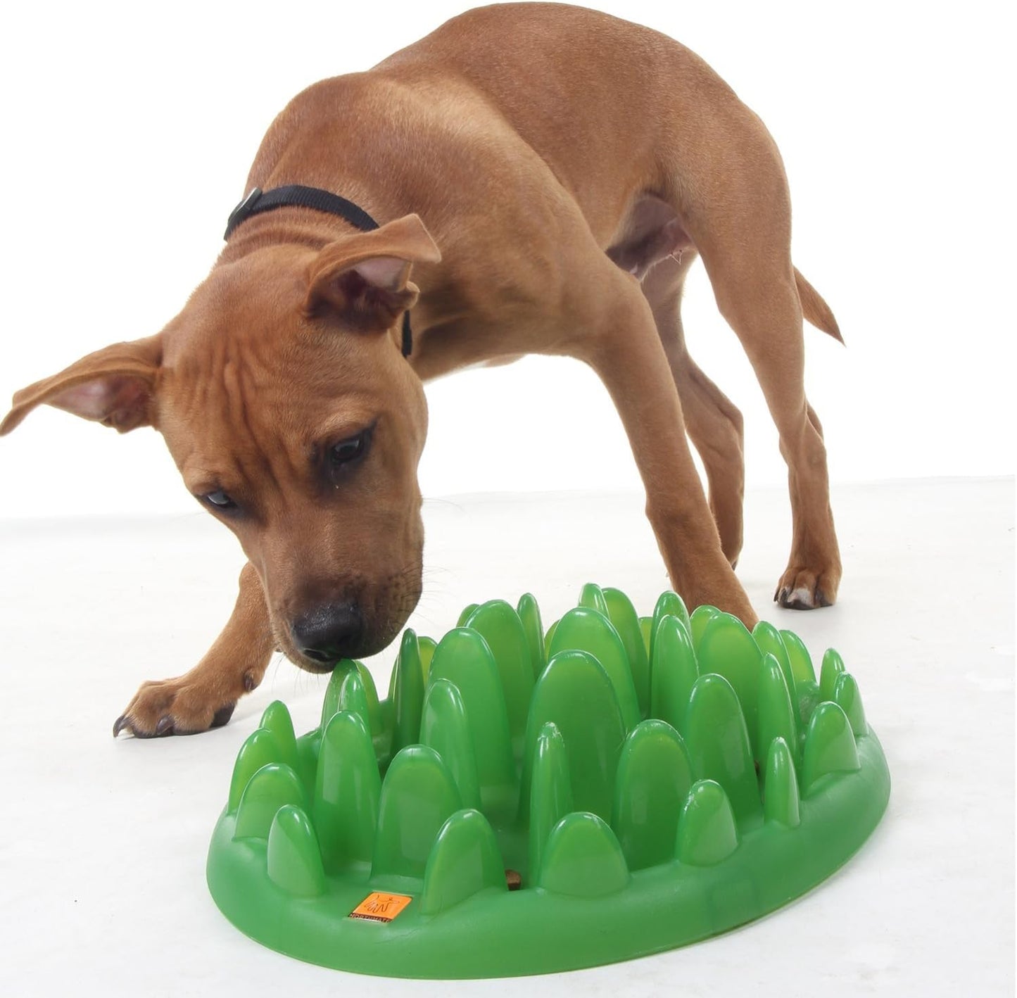 Company of Animals GREEN Slow Interactive Feeder | Anti-Gulp Large Dog Bowl