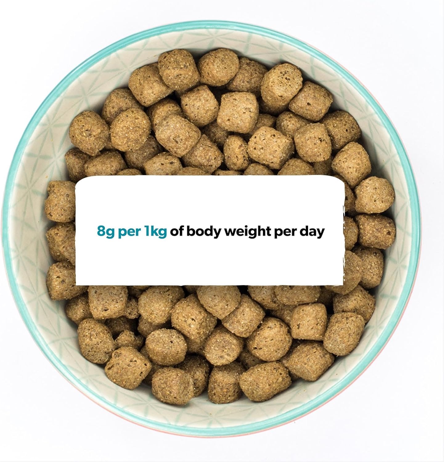 Burns Toy & Small Breed Original | Holistic Gluten Free Dry Dog Food | Senior + | Chicken & Brown Rice