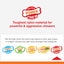 Nylabone Dental Extreme Chew | Bacon Flavour | Tough Dog Toy
