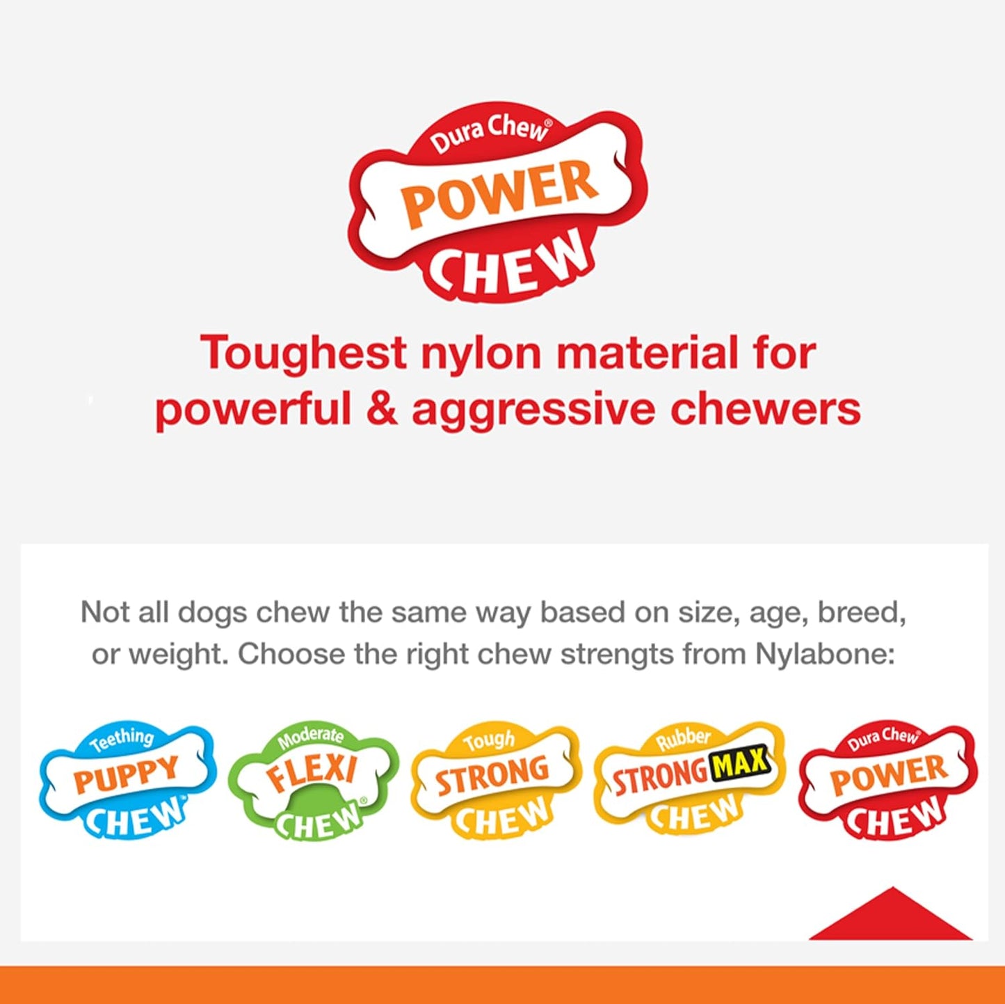 Nylabone Dental Extreme Chew | Bacon Flavour | Tough Dog Toy