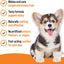 Vet IQ | Puppy Healthcare | Teething Relief Gel - 50g