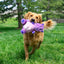 KONG Knots Belly Hippo | Rope Core Plush Dog Toy