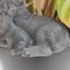 Gray cat sitting on a plant pot with a blurred background