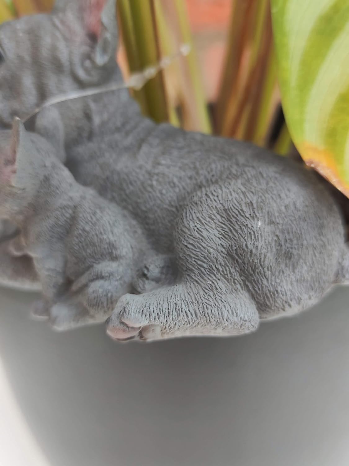 Gray cat sitting on a plant pot with a blurred background