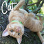 Cat on a tree branch with a green collar, text 'Cat' above