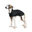 Dog wearing a black raincoat on a white background