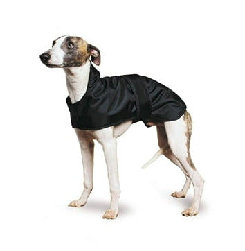 Dog wearing a black raincoat on a white background