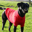 Red Cable Knit Dog Jumper by Ancol