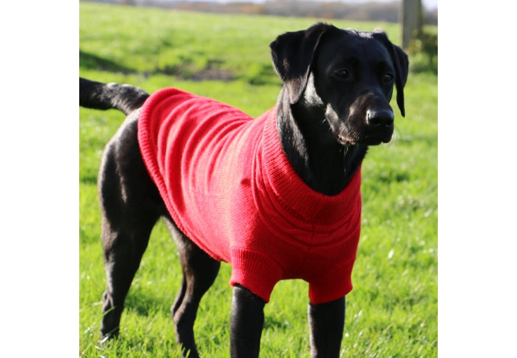 Red Cable Knit Dog Jumper by Ancol
