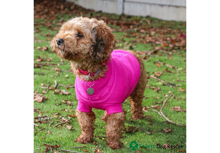 Pink Cable Knit Dog Jumper by Ancol