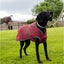 Heritage Red Tartan Dog Coat by Ancol