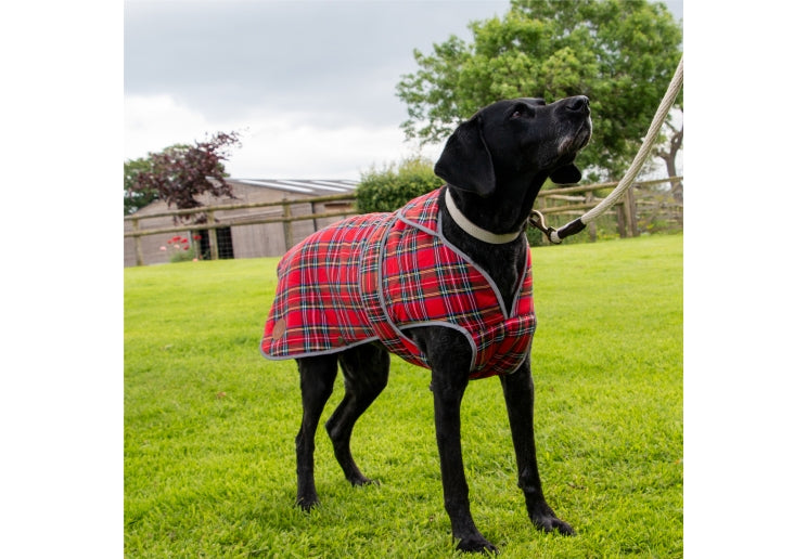 Heritage Red Tartan Dog Coat by Ancol