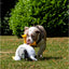 Seagull Dog Toy | Plush Friend by Ancol Made From