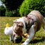 Seagull Dog Toy | Plush Friend by Ancol Made From