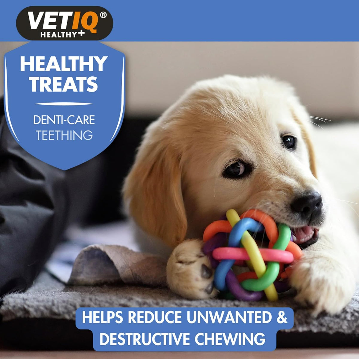Vet IQ Puppy Healthy Treats Denti-Care for Soothing Irritated Gums 50g