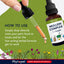 Phyt+pet Mullein Complex for Coughs bottle with dropper on a green background
