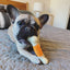 Nylabone Dental Extreme Chew | Bacon Flavour | Tough Dog Toy