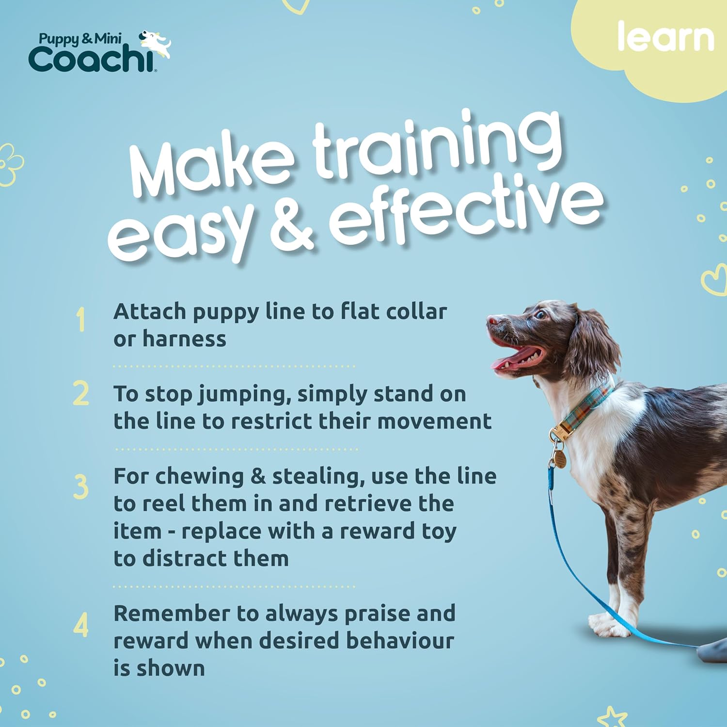 Dog training guide with a blue background and a dog on a leash.