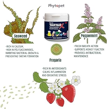 Phytopet | Dog Dental Care | TartarX Natural Tooth Cleaning Treatment