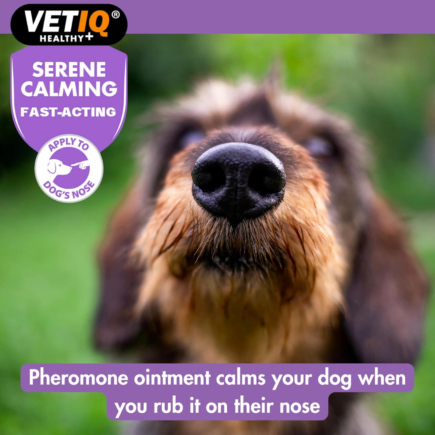 Dog's nose with VETIQ Healthy+ product description on a green background