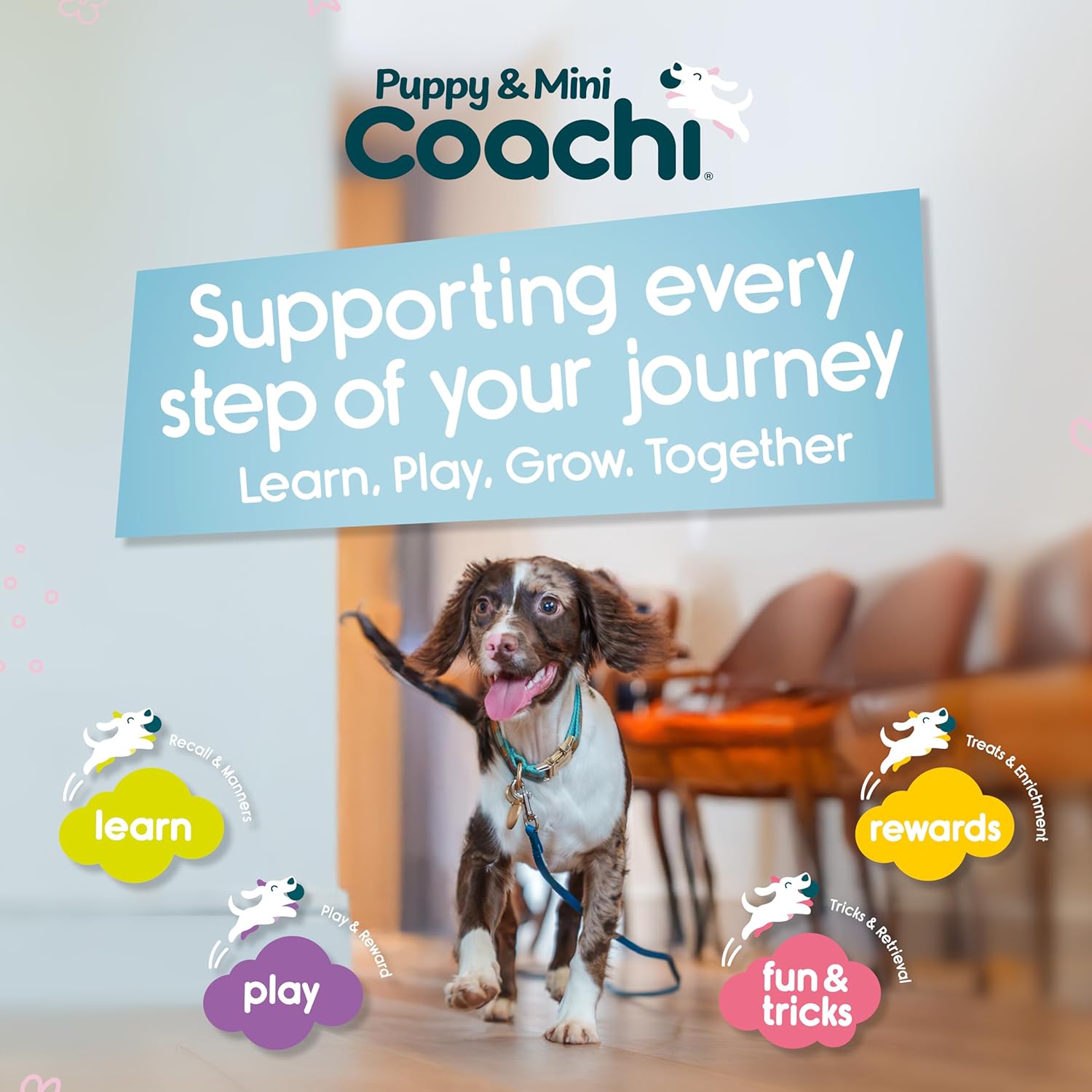 Dog standing on a wooden floor with 'Puppy & Mini Coachi' branding and text about learning, playing, growing together.