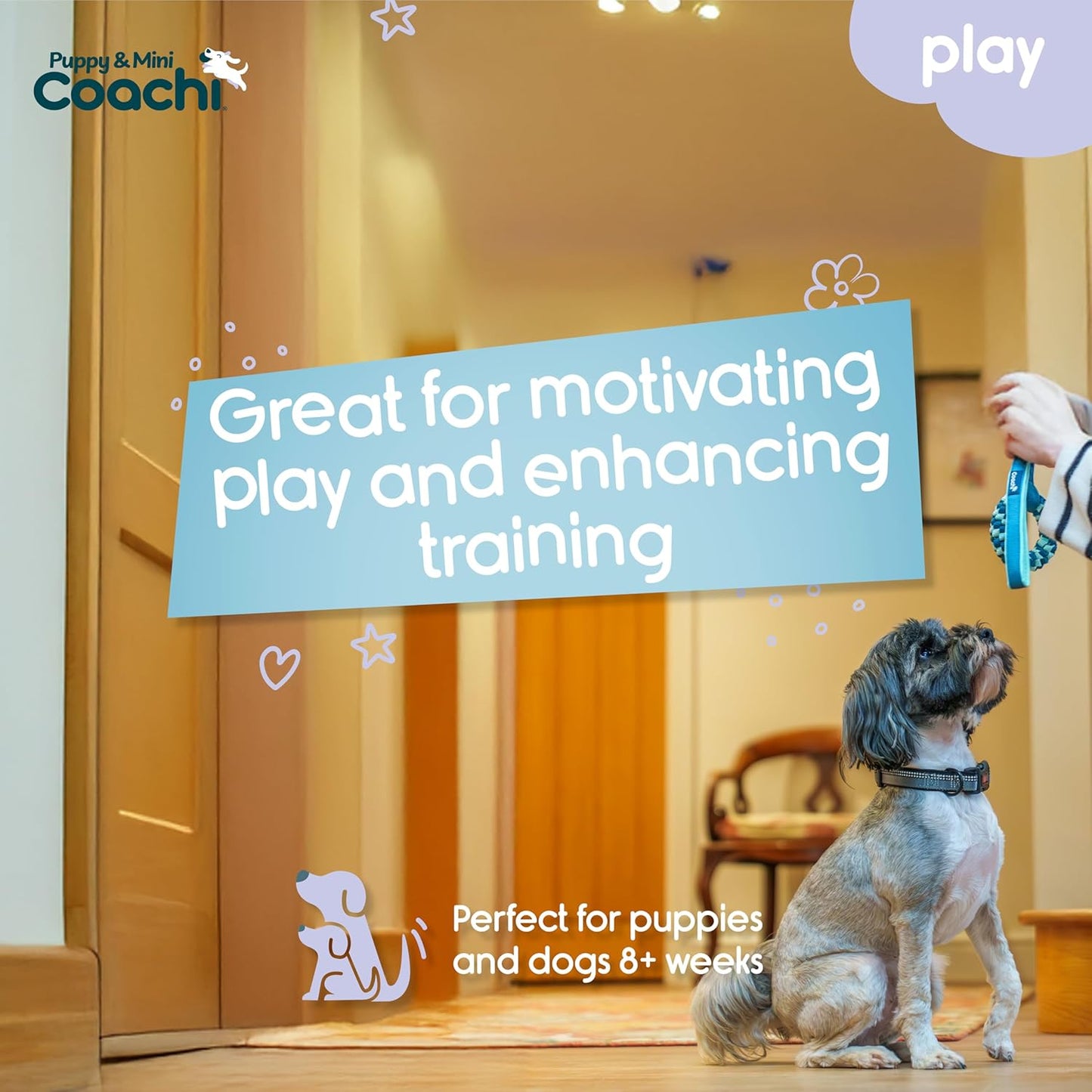 Dog sitting on a wooden floor with a toy, text about motivating play and enhancing training, and 'Puppy & Mini Coach' branding.