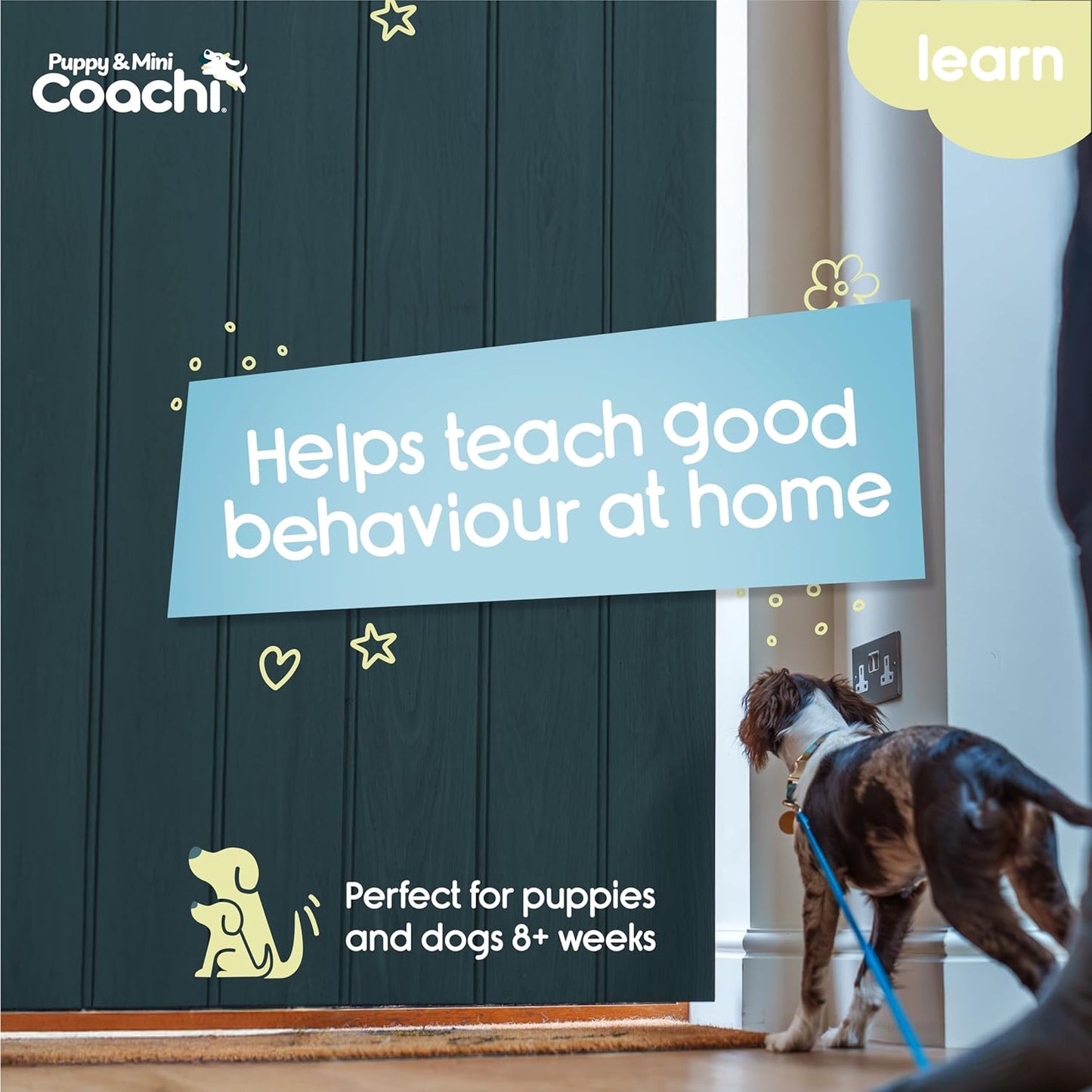 Dog on a leash standing at the door with text about teaching good behavior at home, featuring the Puppy & Mini Coach logo.