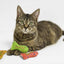 Yeowww! Stinky Star Sardine Catnip Toy - 100% Organic Potent Catnip Toy
