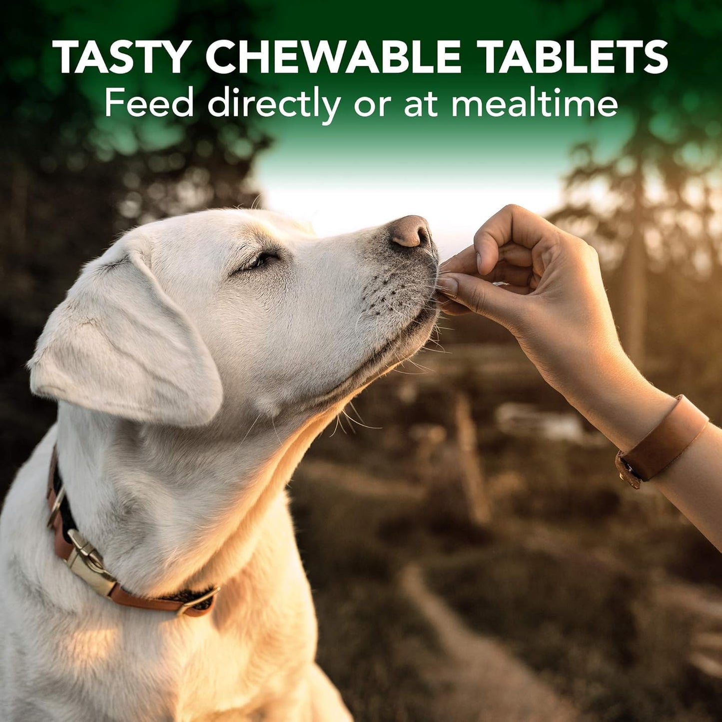Vet's Best Advanced Hip & Joint Chewable for Dogs 60 Tablets