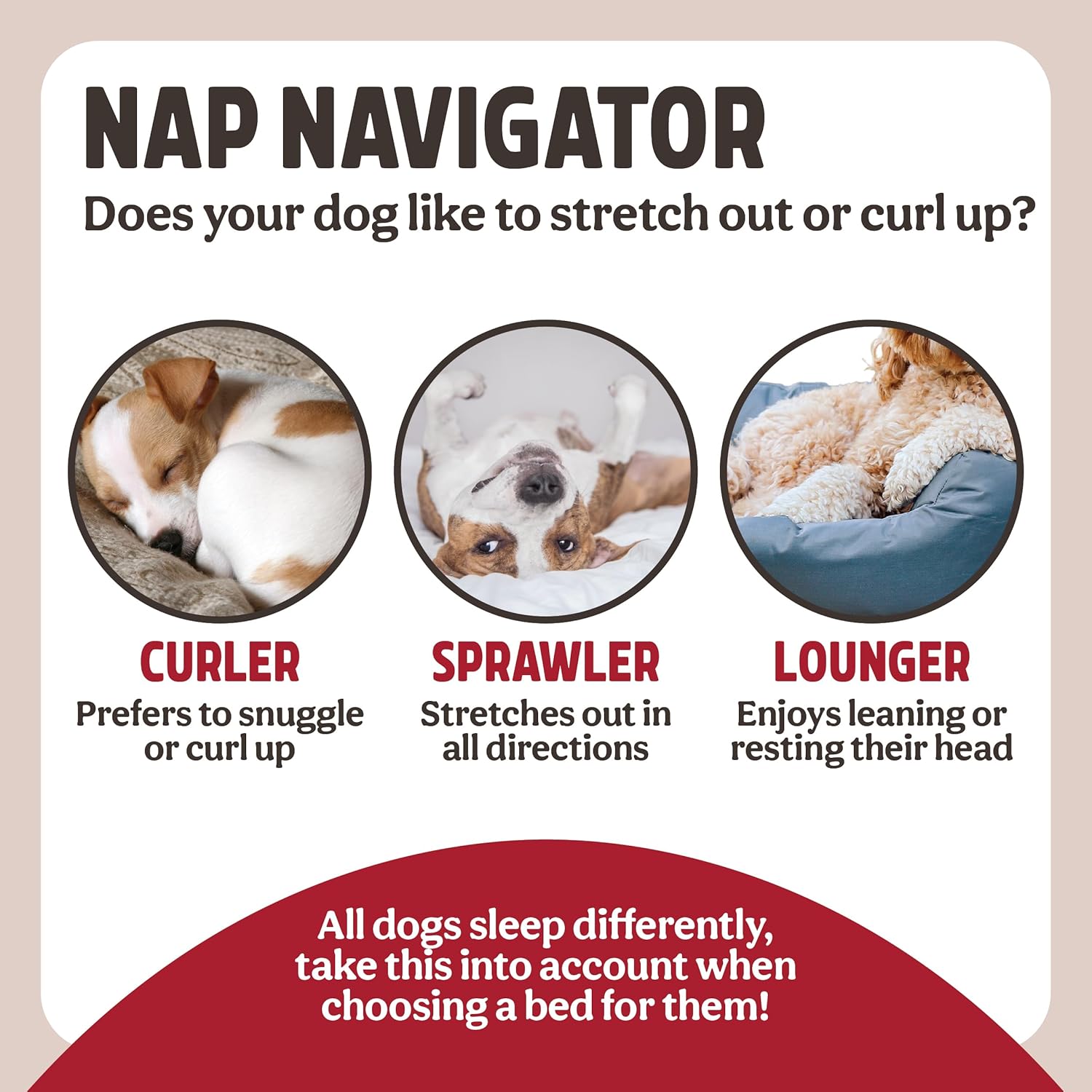 Diagram categorizing dog sleeping preferences with images and text labels.