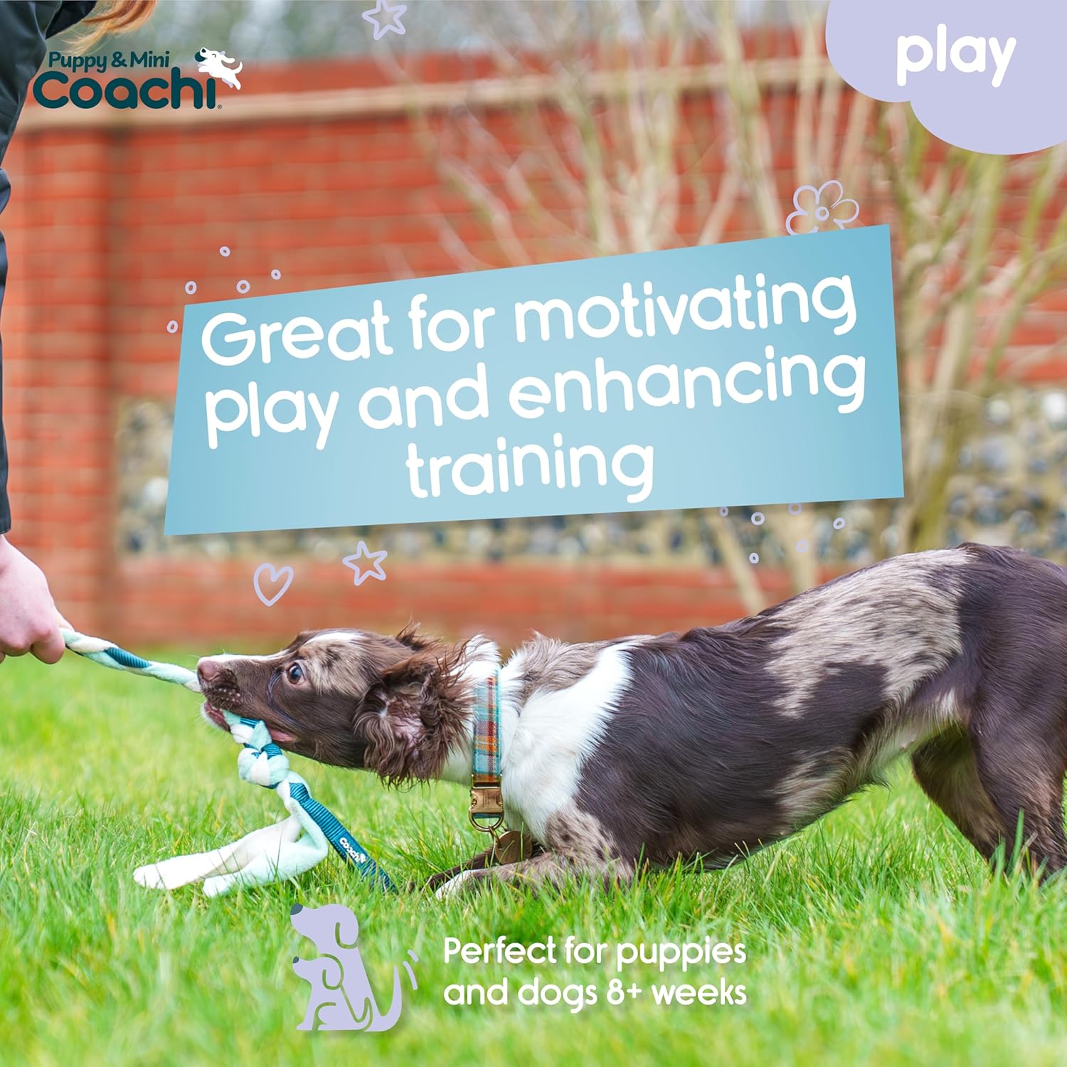 Dog playing with a toy on grass, with text about motivating play and enhancing training.
