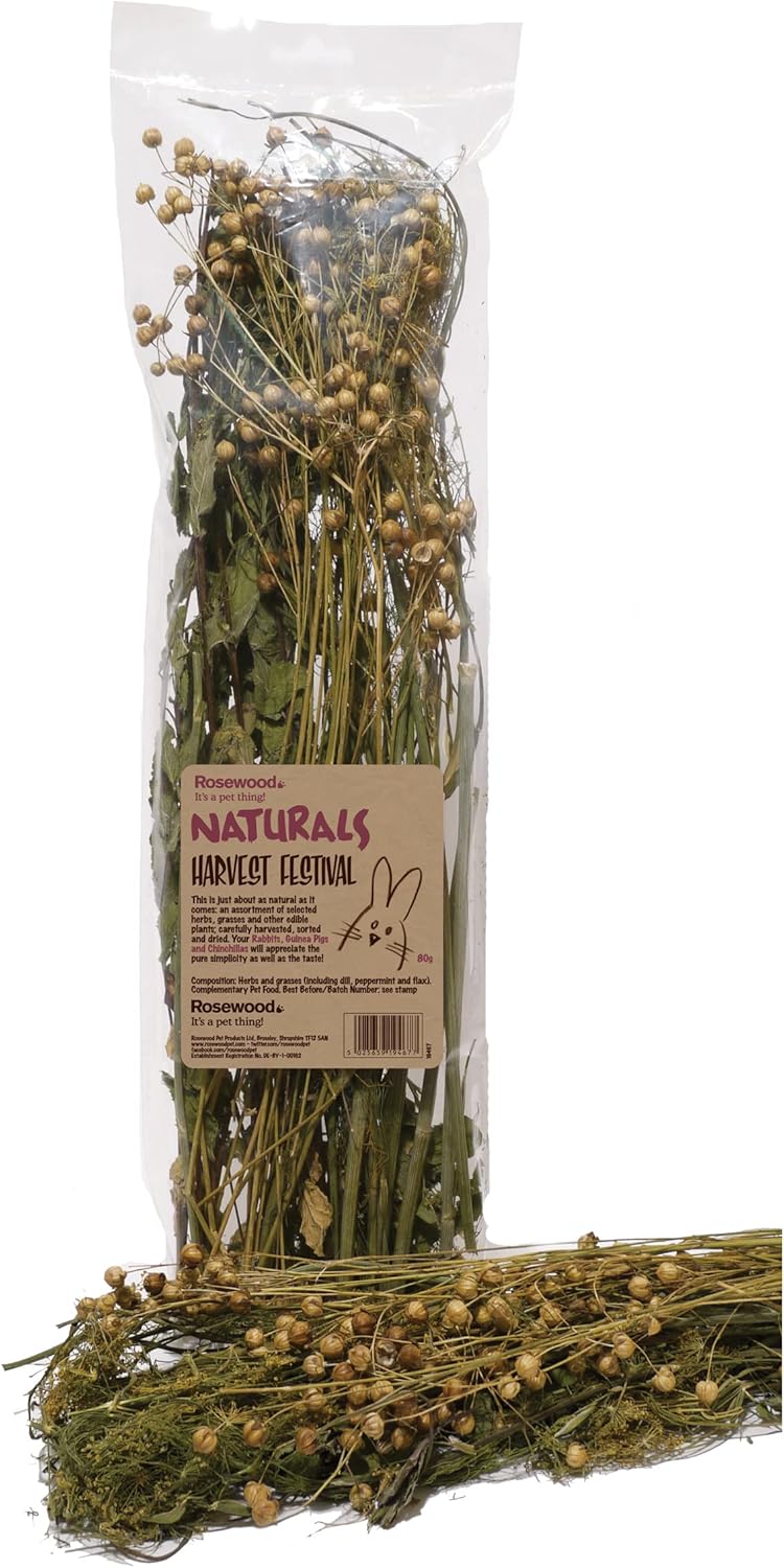 Naturals harvest festival treats for rabbits guinea pigs and other small animals