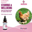 PhytoPet | Chicken Boost | General Tonic for Poultry, Game & Aviary Birds