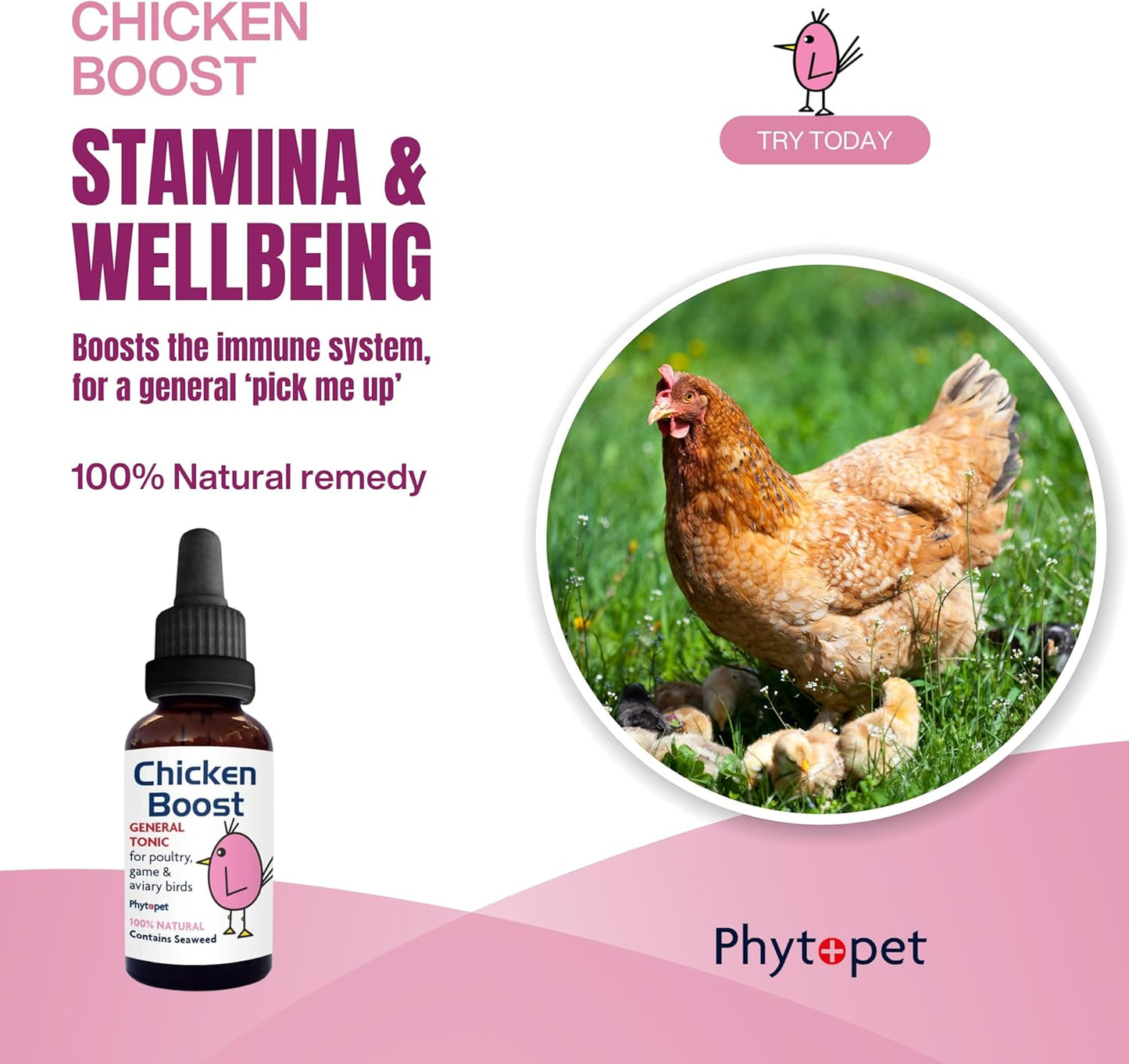 PhytoPet | Chicken Boost | General Tonic for Poultry, Game & Aviary Birds