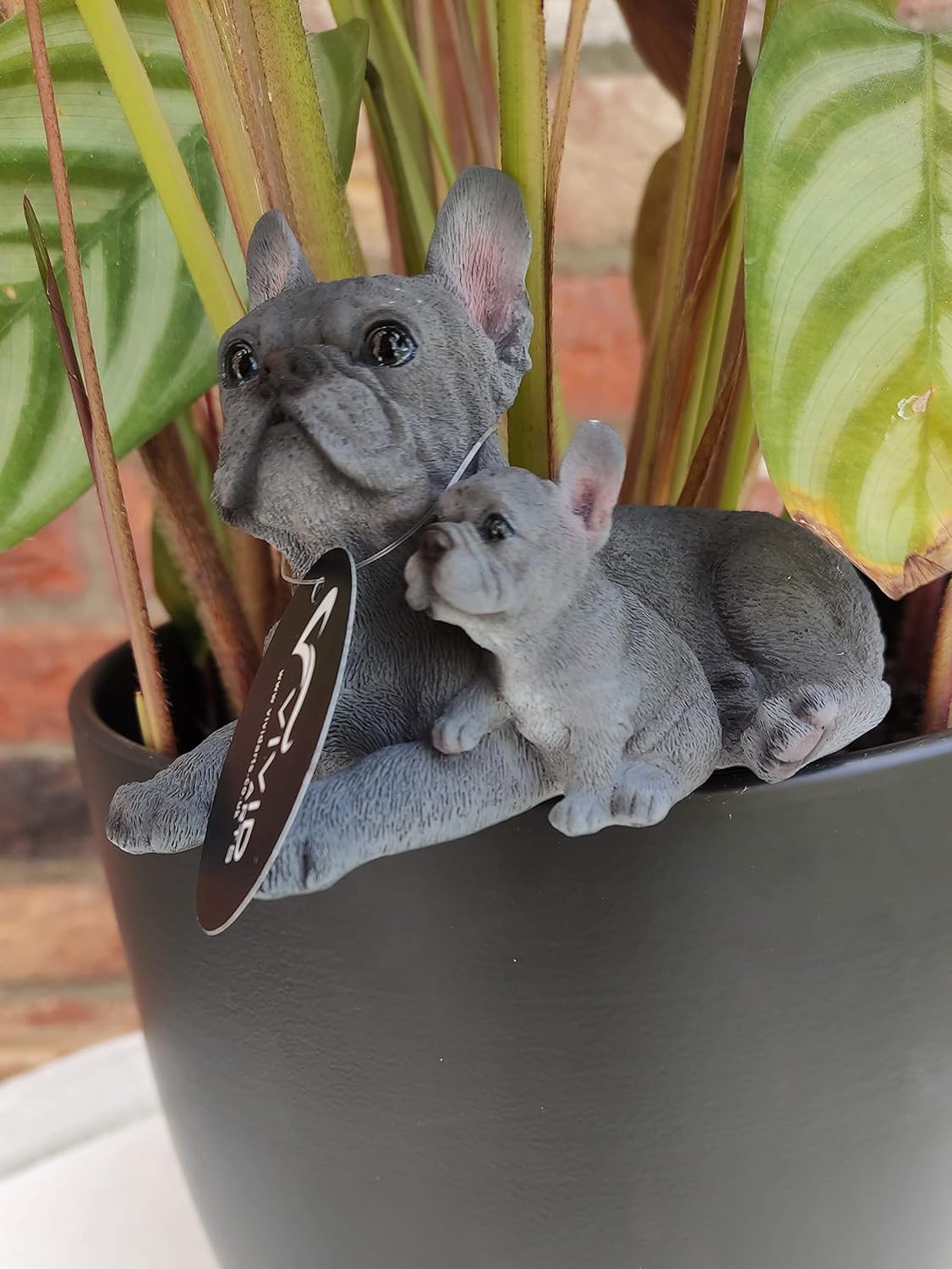 Vivid Arts | Blue French Bulldog with Pup Plant Pal
