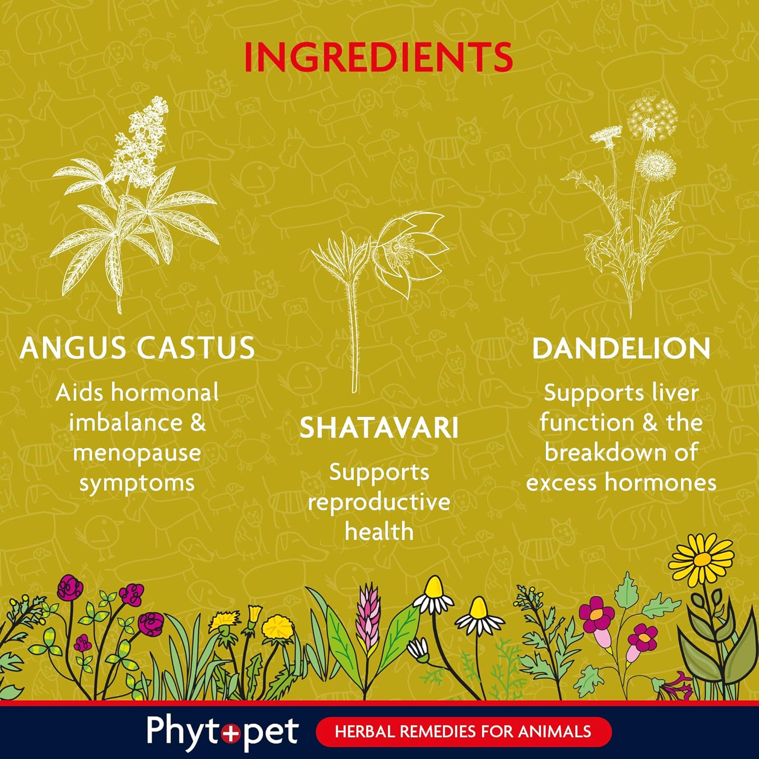 Herbal ingredients for animals with illustrations and descriptions on a green background, featuring Phytotpet branding.