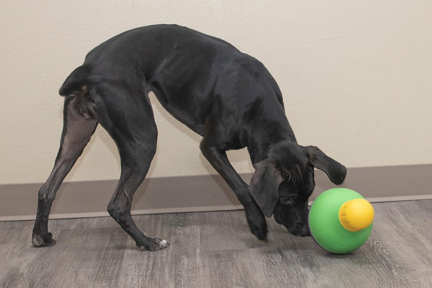 Starmark | Interactive Dog Treat Dispenser Toy | Bob-a-Lot