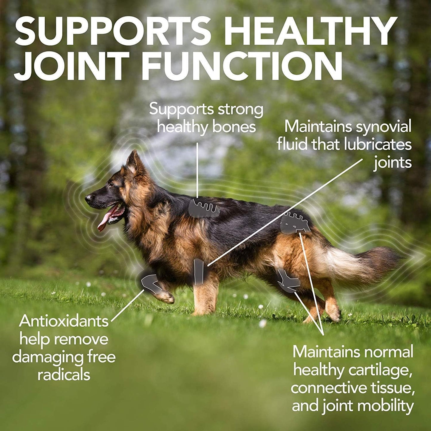 Vet's Best Advanced Hip & Joint Chewable for Dogs 60 Tablets